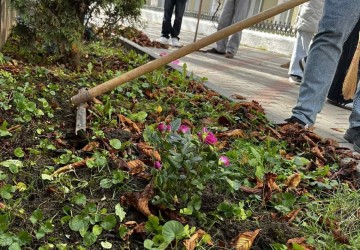 Culoarea viitorului e verde… cu parfum de trandafiri! Image