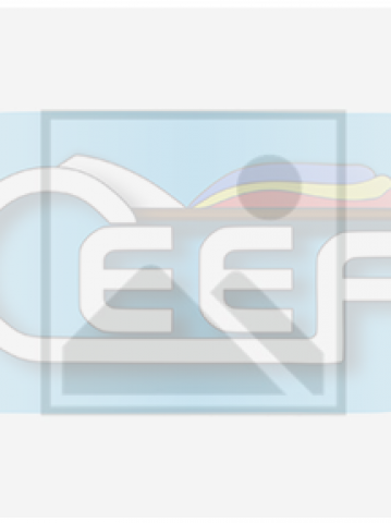 Carpovici Gabriela Image